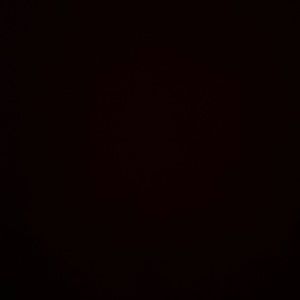 BOGO SALE- See description for details